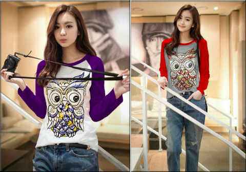 COMbED OWL_K31 New_Fit M